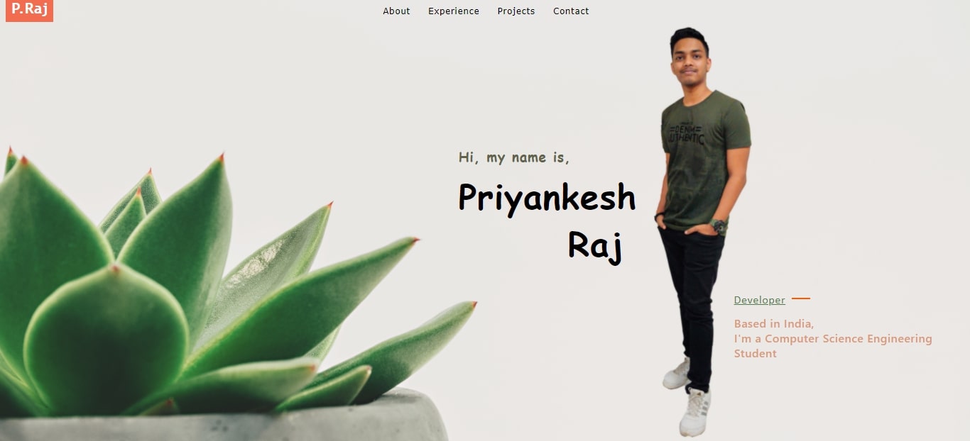 My Portfolio Website